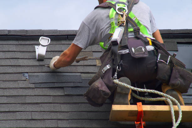 Best Roof Gutter Cleaning  in El Portal, FL